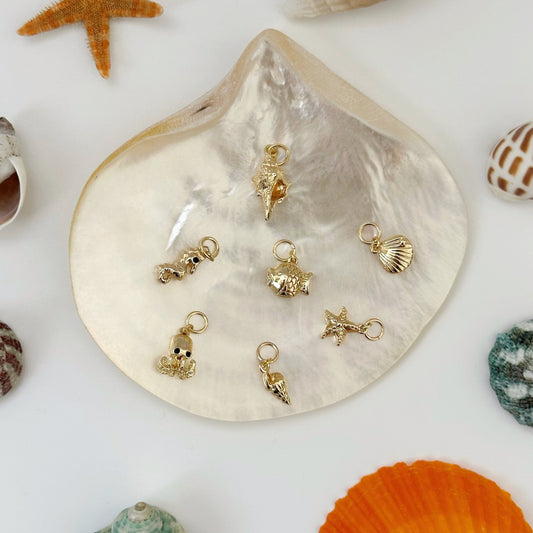 Sea Collection Charms, Sea Conch Shell Mix and Match Charms Jewelry, Build Your Own Earrings/Necklaces/Bracelets, Birthday Customize Gift